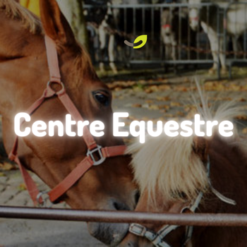 Lombricompostage du fumier de cheval | Centre équestre*