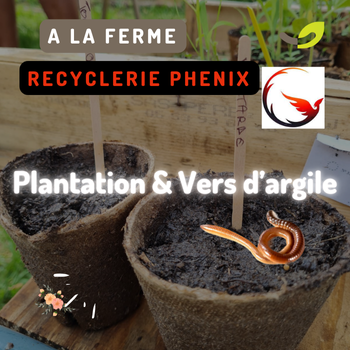 Plantation & Vers d’Argile : un atelier nature pour les enfants*