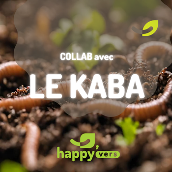 Le Kaba x Happy’Vers : rencontre autour du lombricompostage*