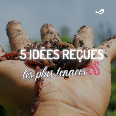 Parmi les idées reçues les plus tenaces sur les vers de terre 🪱