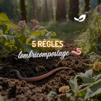 Lombricompostage : 5 règles essentielles pour démarrer sans galérer (et éviter les erreurs* classiques)