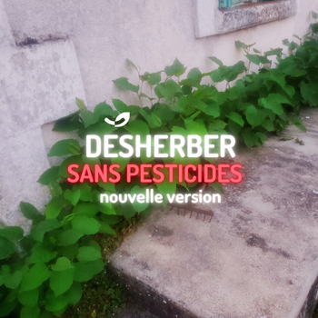 👉 Désherber sans chimie : que faire quand on bannit les pesticides ?
