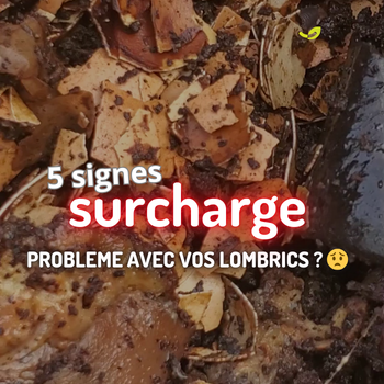 🪱Lombricomposteur en surcharge : 5 signes et solutions pratiques*