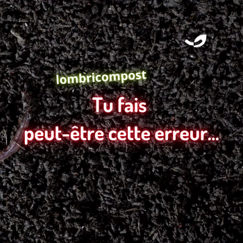 🌿🪱 Quand et comment apporter le lombricompost au potager