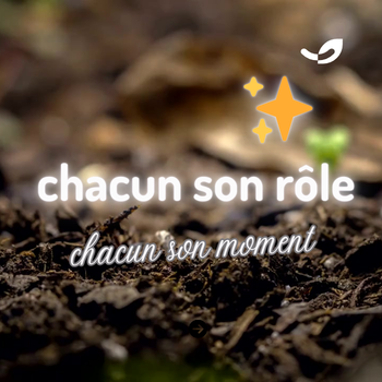 Tous les vers sont-ils adaptés au lombricompostage ?🪱*