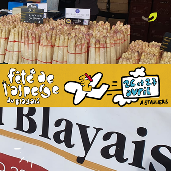 Fête de l’Asperge 2025 : que sont devenus les biodéchets ?*