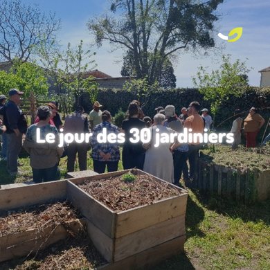 Atelier semis, plantations et lombrics - avril 2026*