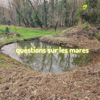 ❓ Mare naturelle, zone humide et Natura 2000 : FAQ & glossaire*