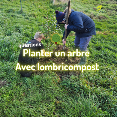 🌳 Lombricompost et plantation d’un arbre : nos pratiques à la ferme*