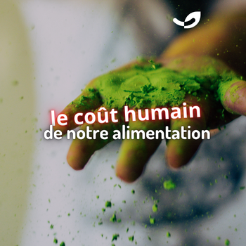 Festival Alimenterre 2025 en Haute-Gironde : retour sur le débat*