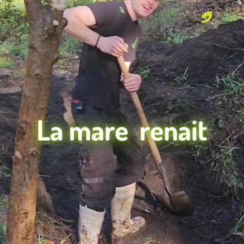 💧 Mare en zone Natura 2000 : notre chantier à la Ferme Happy’Vers 🌿🪱*