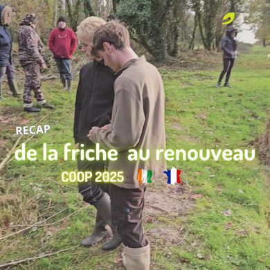 🌍 COOP 2025 — Une année de renouveau, de chantiers, de sols vivants et de lombricompostage 🪱 à la ferme Happy’Vers