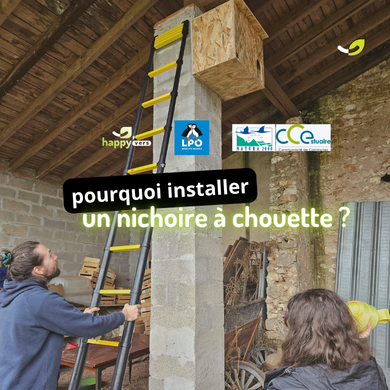 🦉Nichoir à chouettes : installation avec la LPO et Natura 2000*
