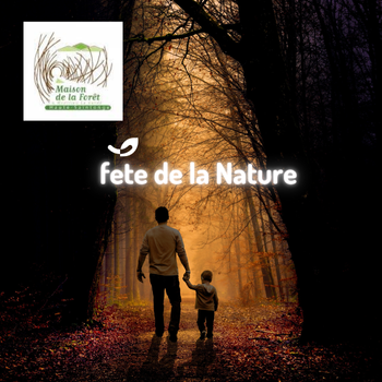 🌿 Fête de la Nature à la Maison de la Forêt de Haute-Saintonge*
