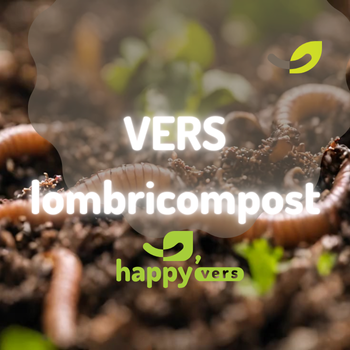 Vers à compost : espèces, différences et lombricompost*