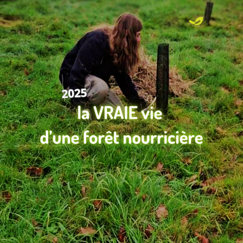 🌿 De champ maraîcher à jeune Forêt Nourricière🌳🪱💧