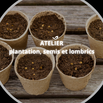 🌿 Atelier semis et lombricompostage à la Ferme Happy’Vers*