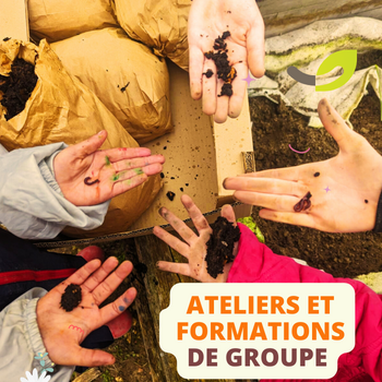 🪱 Atelier Nature en groupe : découverte des vers de compost et des cycles de la nature