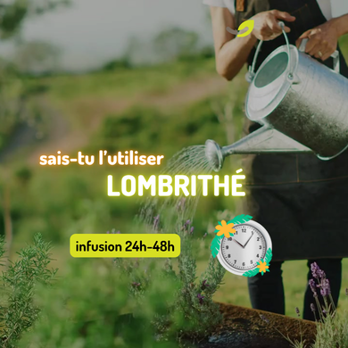 🪱 Lombrithé : qu’est-ce que c’est et comment le préparer ?*