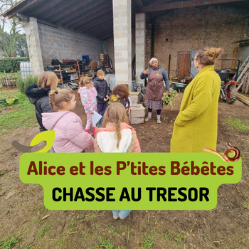 CHASSE AU TRESOR : Alice et les p’tites bébêtes  🌱🪱🌳24 JANV 2024
