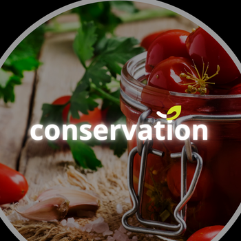 Conservation alimentaire : retour sur notre atelier du 17 octobre 2025*