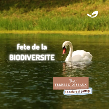 Fête de la Biodiversité 2025 à Terres d’Oiseaux : notre atelier nature*
