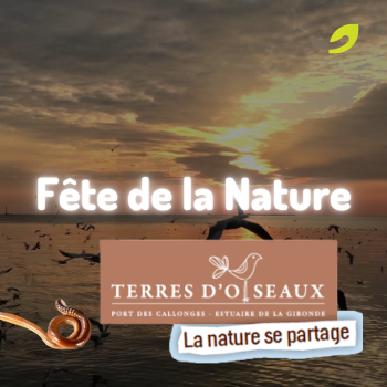 Flashback sur la fête de la Nature, Terre d’Oiseaux 2023