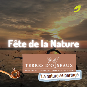 Fête de la Nature 2023 à Terres d’Oiseaux : vers et graines*