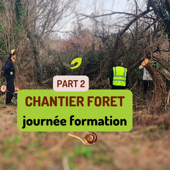 Le Chantier Forêt | Partie 2 🌱🪱🌳15 FEV 2024