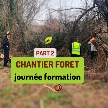 Chantier forêt à la Ferme Happy’Vers : lombricompostage et transmission 🌱🪱🌳*