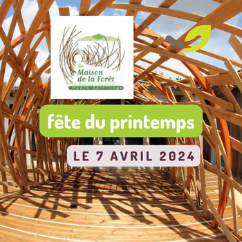 Fête du Printemps à la Maison de la Forêt : retour sur notre journée*