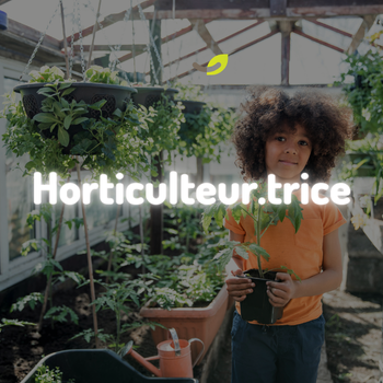 Lombricompostage en horticulture : une pratique à adapter à votre production
