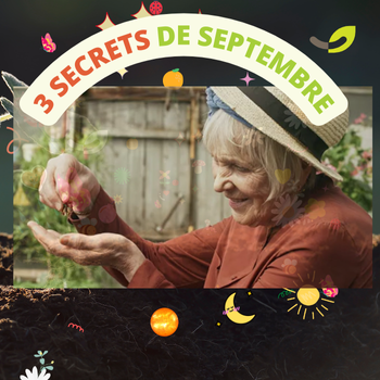 🍂🌱 3 Secrets d'Automne pour un Jardin écolo 🌱🍂