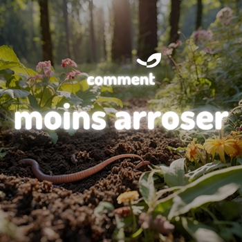 💧 Comment aider le sol à garder l’eau ?*
