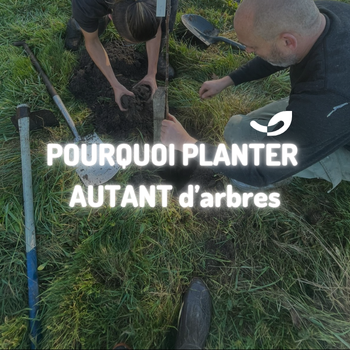 🌳 Pourquoi plantons-nous autant d’arbres à la Ferme Happy’Vers ? 🌿 🪱*
