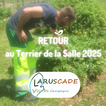 Terrier de la Salle à Laruscade : retour d’expérience deux ans après, avec Clément*