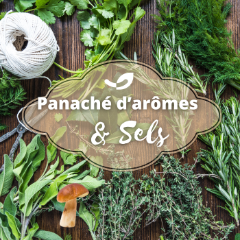 BOX Tresors de Sels & Herbes