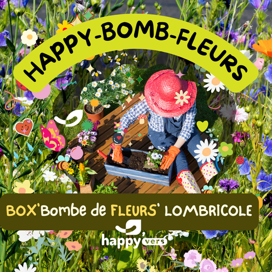 BOX HAPPY-BOMB-FLEURS