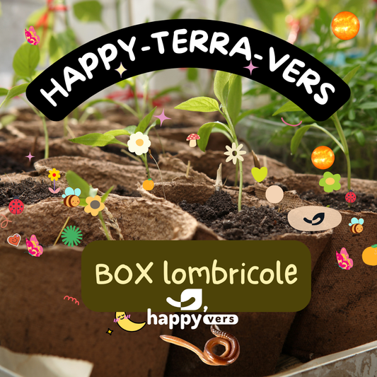 BOX TERRA-HAPPY-VERS