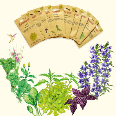 Semences Aromates et Plantes médicinales | ASSORTIMENTS et CADEAUX FERTILES, KOKOPELLI
