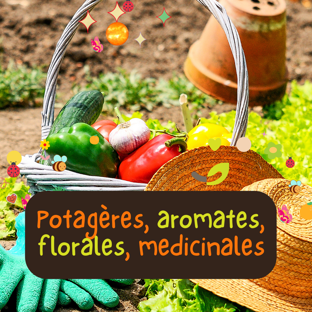Semences Potagères Aromates Florales Médicinales | Sachet à l'unité KOKOPELLI